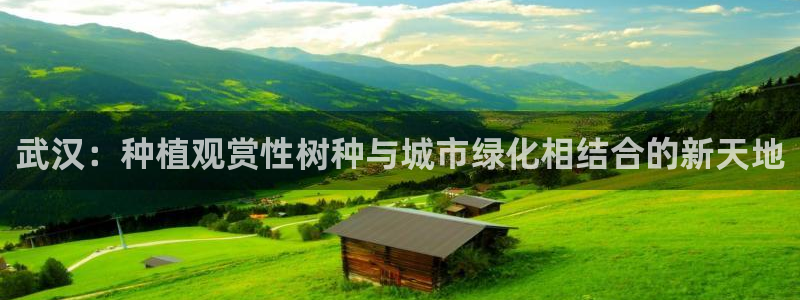 摩根娱乐宝是合法吗