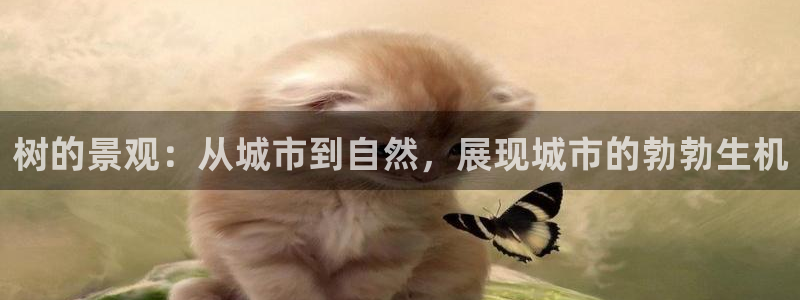 摩根娱乐垫付任务靠谱吗