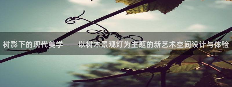 摩根娱乐宝骗了多少人