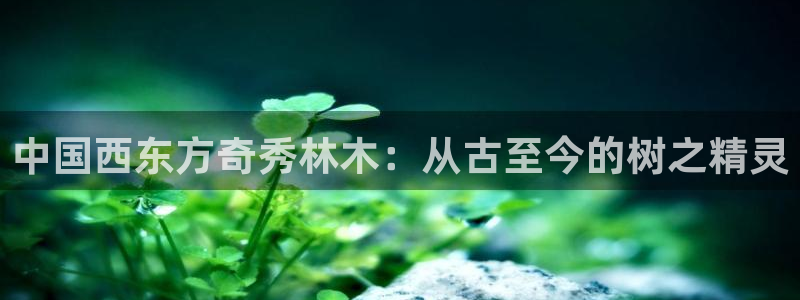 下载摩根国际娱乐宝：中国西东方奇秀林木：从古至今的树之精灵