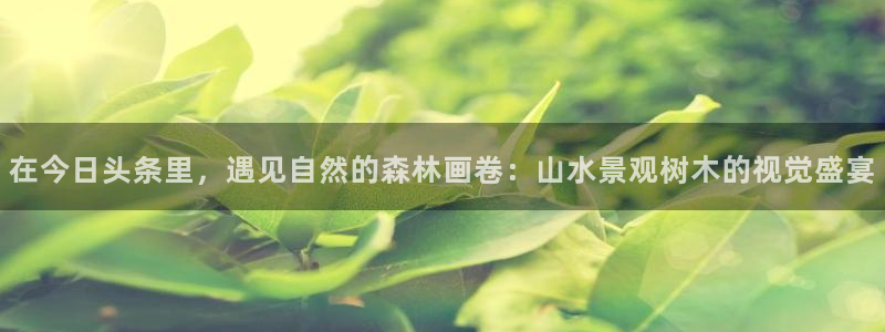 摩根娱乐总部在哪里
