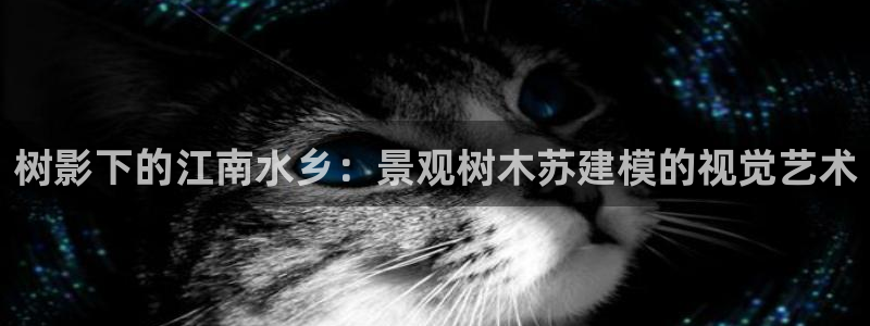 摩根娱乐宝怎么赚钱：树影下的江南水乡：景观树木苏建模的视觉艺术