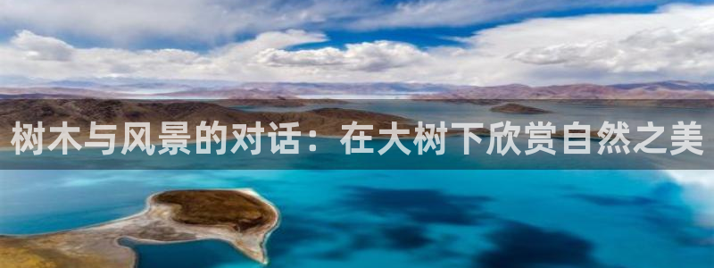 摩根国际娱乐会所电话