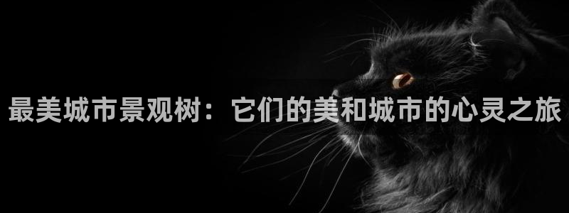 摩根娱乐包是什么