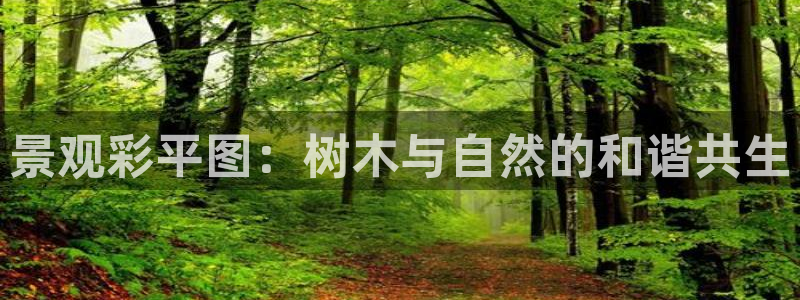 泉州摩根会娱乐场所