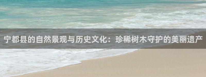 摩根国际娱乐宝