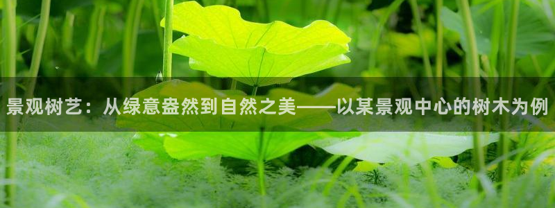 摩根娱乐宝是骗局