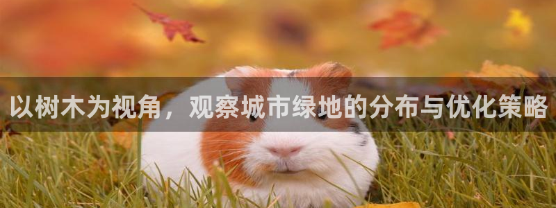 浙江义乌摩根娱乐场所