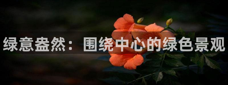 摩根娱乐宝是真的吗