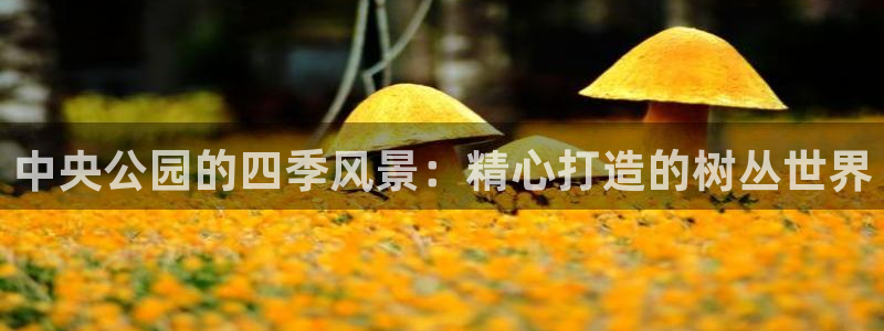 泉州白宫摩根娱乐会所