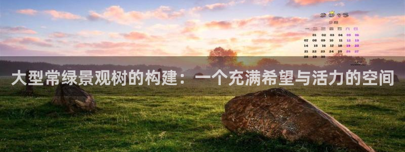 摩根娱乐宝怎样拉下线