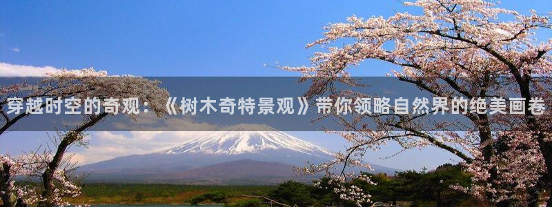 摩根娱乐和摩根国际