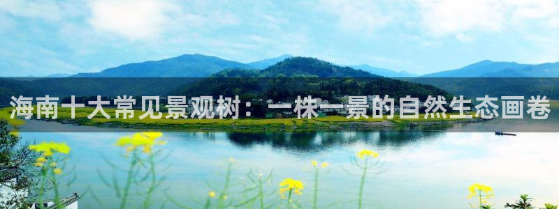 摩根大通王者娱乐