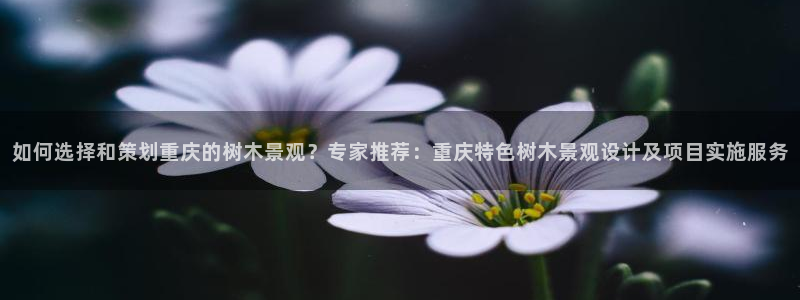 摩根娱乐宝老上不去啊