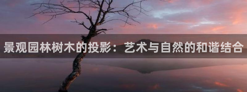 摩根娱乐↑总s管50015：景观园林树木的投影：艺术与自然的和谐结合