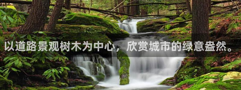 奥飞娱乐摩根调研