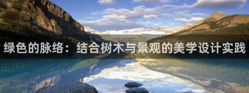 摩根娱乐开户总s管50015 15