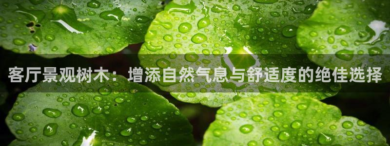 摩根娱乐宝是骗局