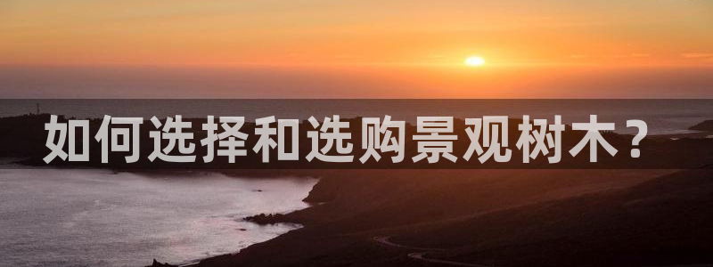 摩根娱乐百家号