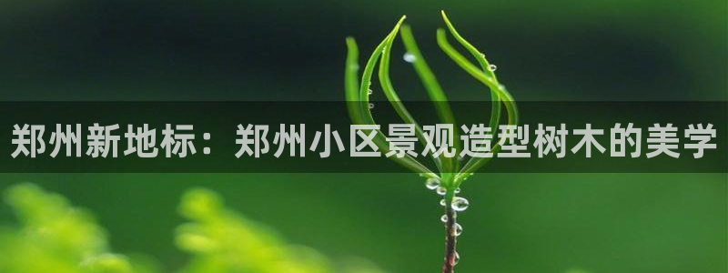 摩根时代资阳娱乐场所