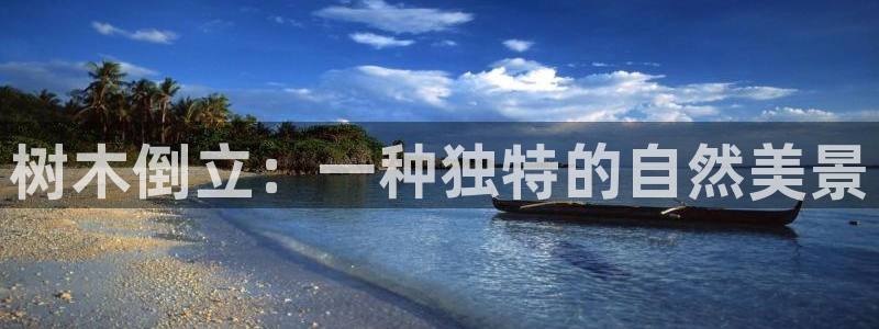 亚瑟摩根娱乐的地方