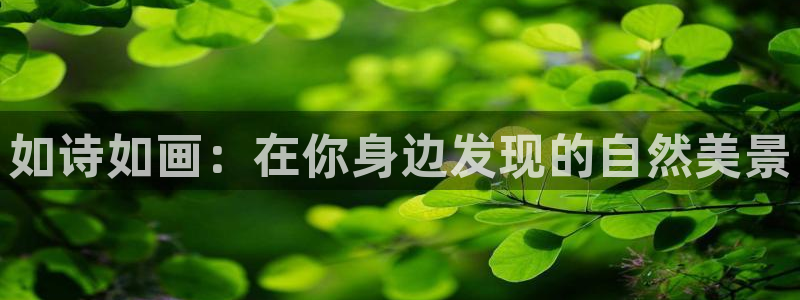 摩根娱乐帐7O777
