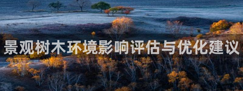 摩根娱乐宝平台