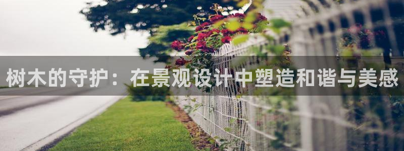 摩根娱乐_ c招a商77130