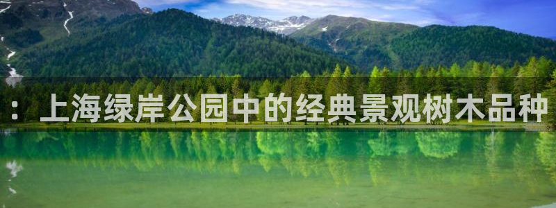 摩根娱乐宝教程
