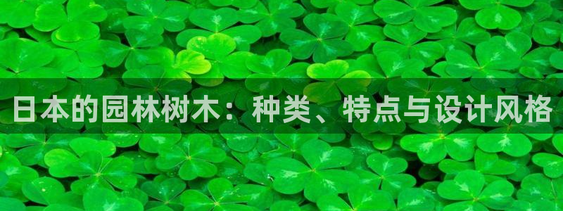 摩根娱乐百家号