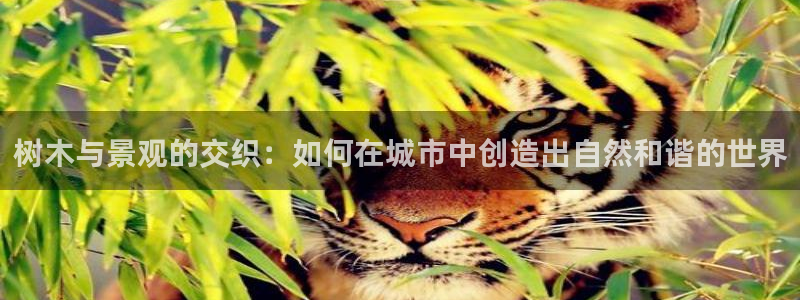 摩根国际娱乐宝官网：树木与景观的交织：如何在城市中创造出自然和谐的世界