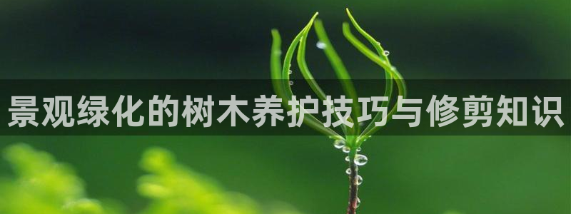 摩根娱乐宝账户