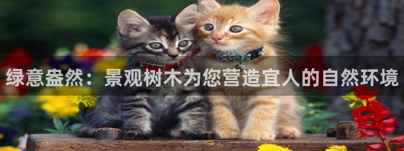 泉州摩根会娱乐张桂花