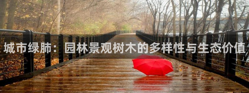 摩根娱乐云挂机项目