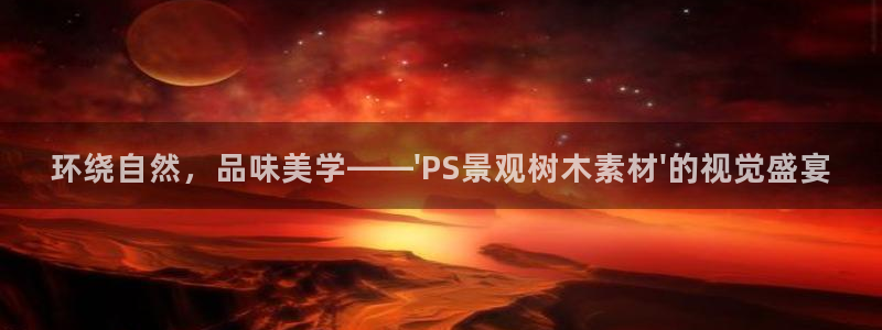 泉州摩根会娱乐有限责任公司管理