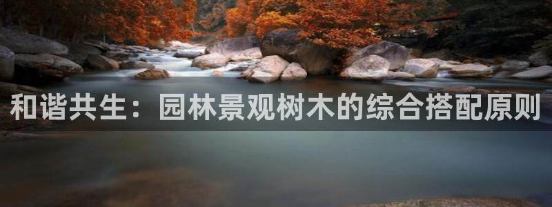 摩根娱乐开户总s管50015 18