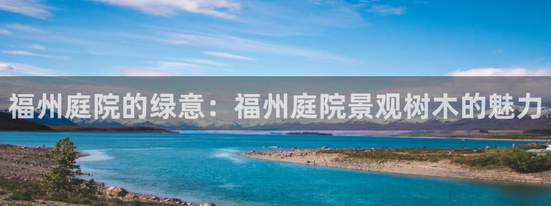 摩根大通黄金娱乐