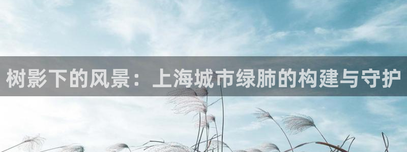 摩根士丹利娱乐