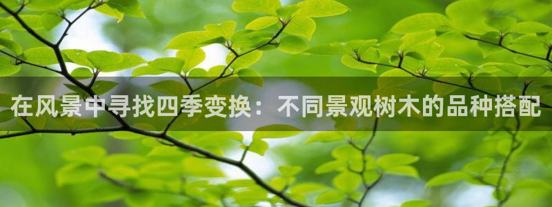 泉州摩根会娱乐有限责任公司管理
