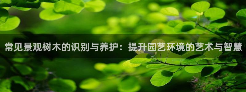 摩根娱乐宝怎样拉下线：常见景观树木的识别与养护：提升园艺环境的艺术与智慧