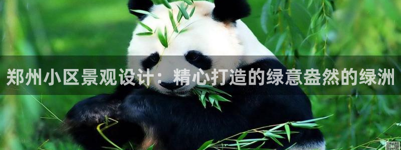 摩根娱乐宝。知道吗