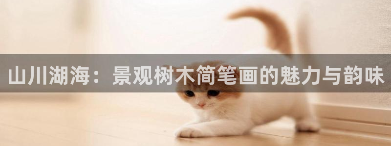 摩根娱乐宝微交易