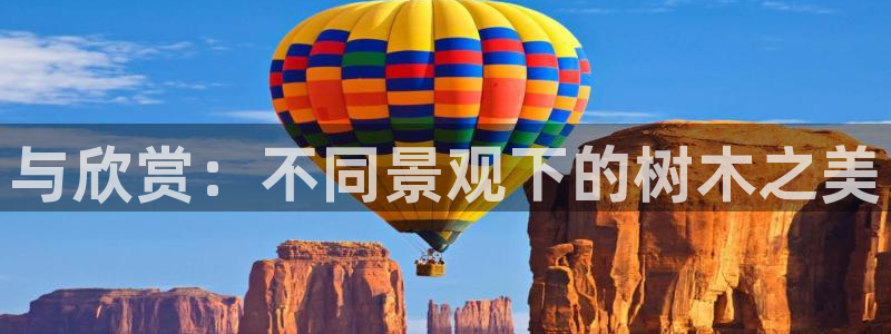 摩根娱乐彩票被骗了