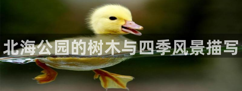 摩根娱乐黑别人网站