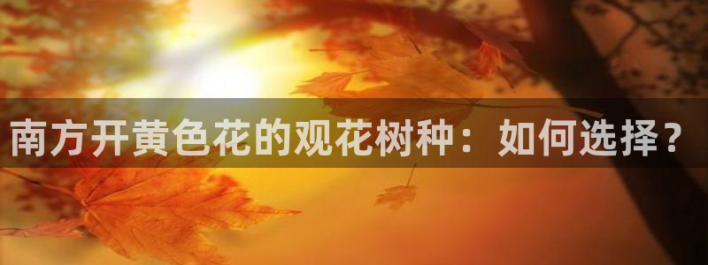 摩根娱乐视频大全