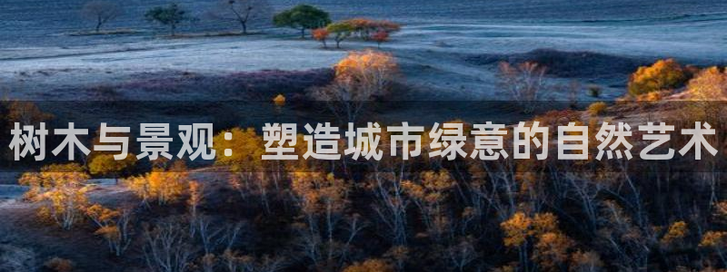 泉州摩根娱乐会所招聘：树木与景观：塑造城市绿意的自然艺术