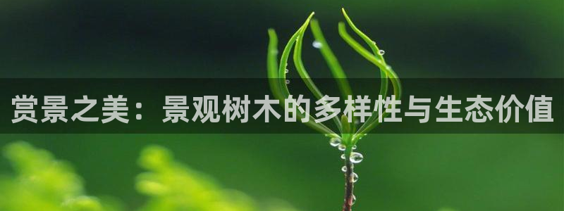 摩根中央公园娱乐