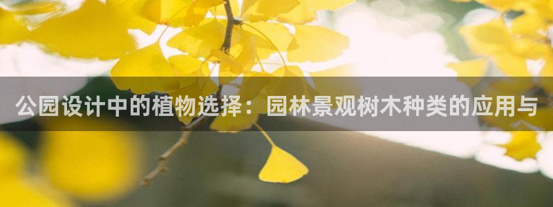 摩根娱乐宝怎么提现