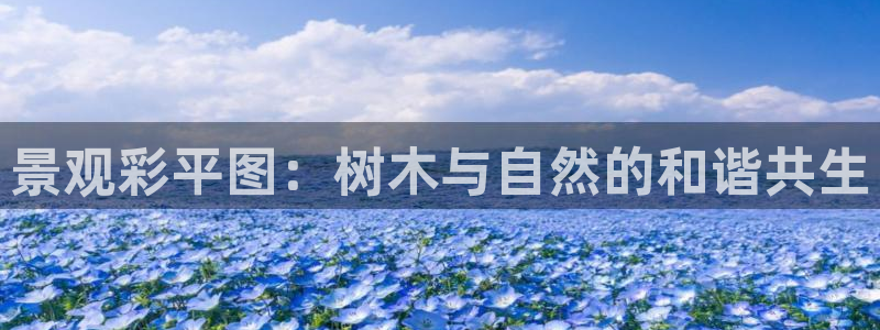 摩根国际娱乐宝