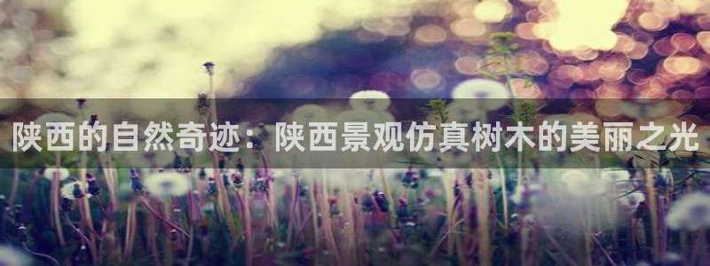 摩根娱乐宝如何提现